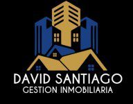 DS David Santiago Logo 150px